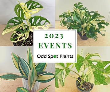 Odd Spot Plants Events and Sales for 2023