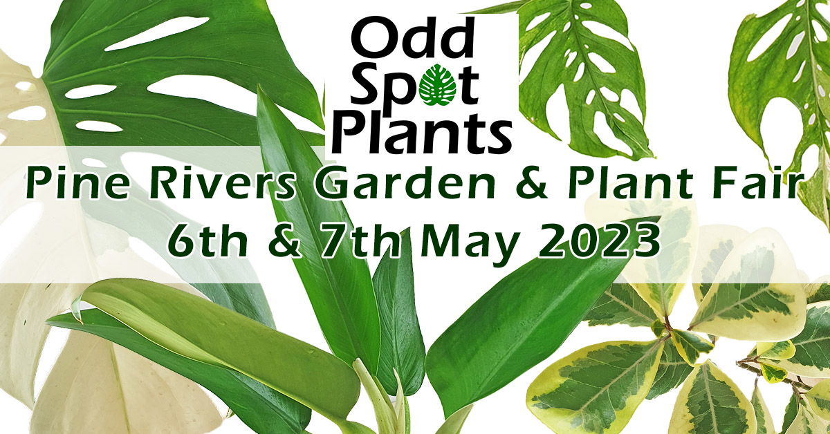 Odd Spot Plants is going to be at The Pine Rivers Garden and Plant Fair - 6 & 7 May 2023.