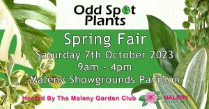 Maleny Spring Show - Saturday 7 Ocotober - 9am - Maleny Showgrounds