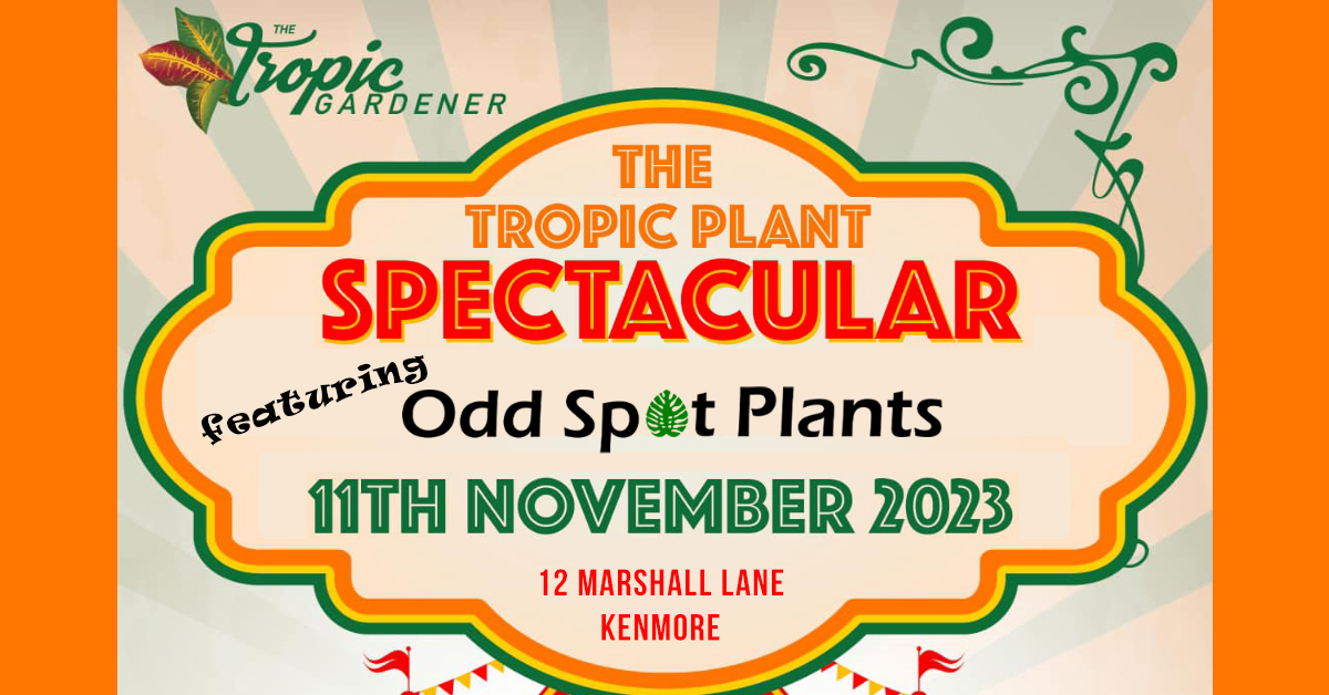 Tropical Plant Spectacular - 11 November @ 12 Marshall Lane Kenmore QLD