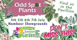 Qld Garden Expo, 4 to 7 July, Nambour Showgrounds