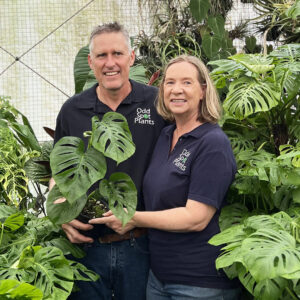 Neil and Lisa in Odd Spot Plant shirts holding a Monstera Aussie Dream which has about 4 leaves.